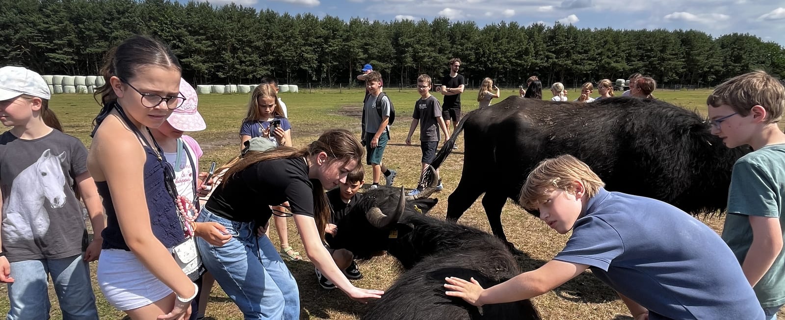 Schülerinnen und Schüler streicheln Rinder
